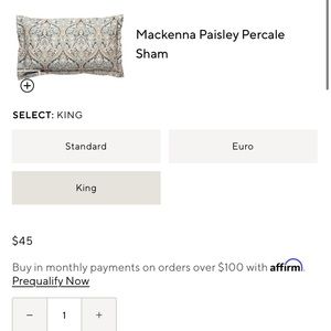 Pottery Barn Makenna (blue) duvet + shams KING